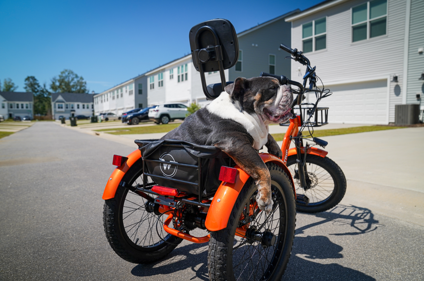 Cargo Tricycle Electric | VICTRIP