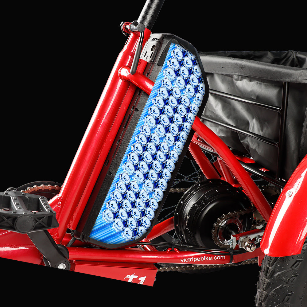 Electric Bicycle Tricycle Battery | VICTRIP