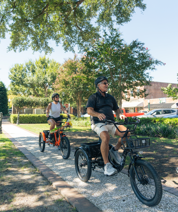 Foldable Electric Trikes For Adults | VICTRIP