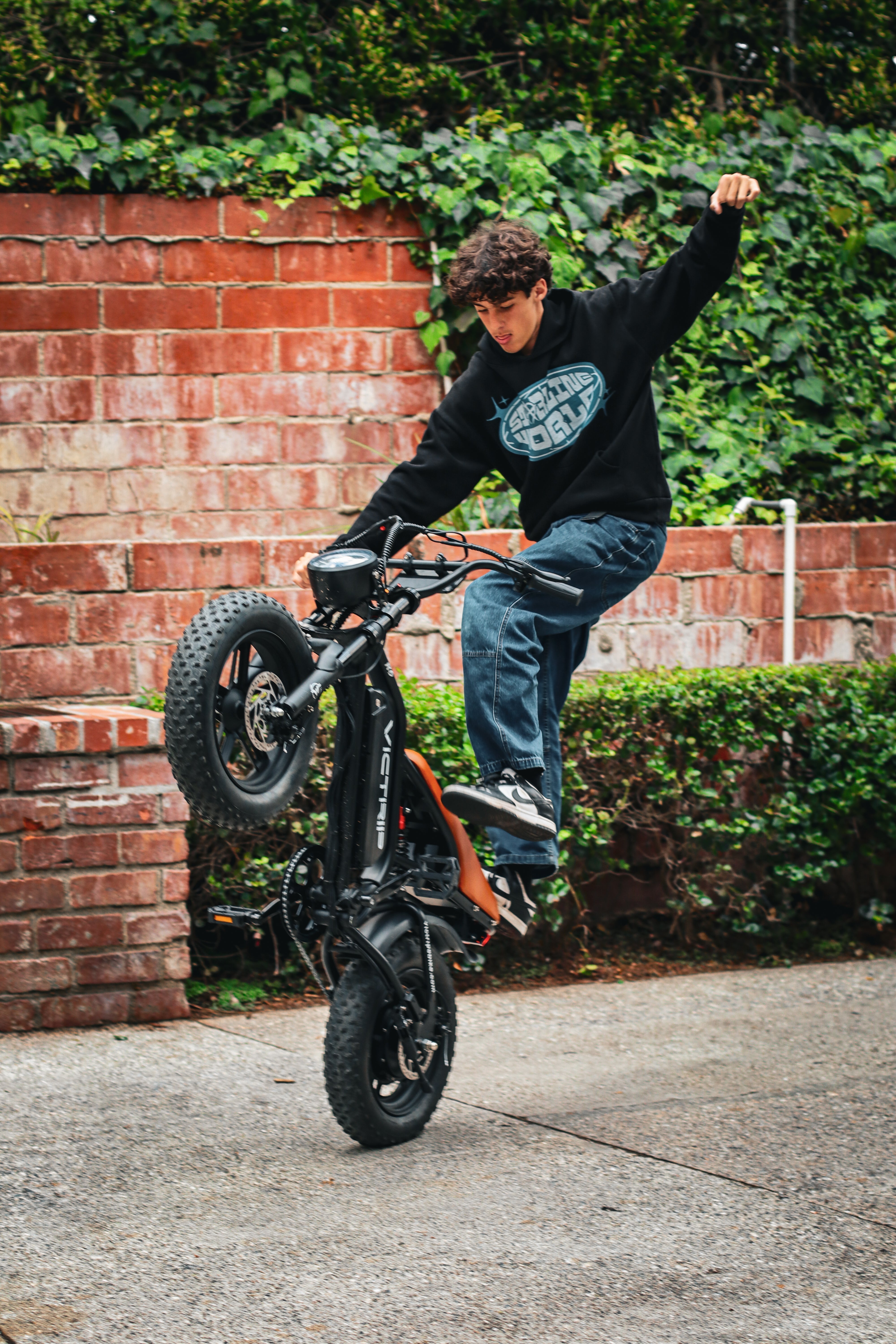 Fastest Electric Bike For Adults | VICTRIP