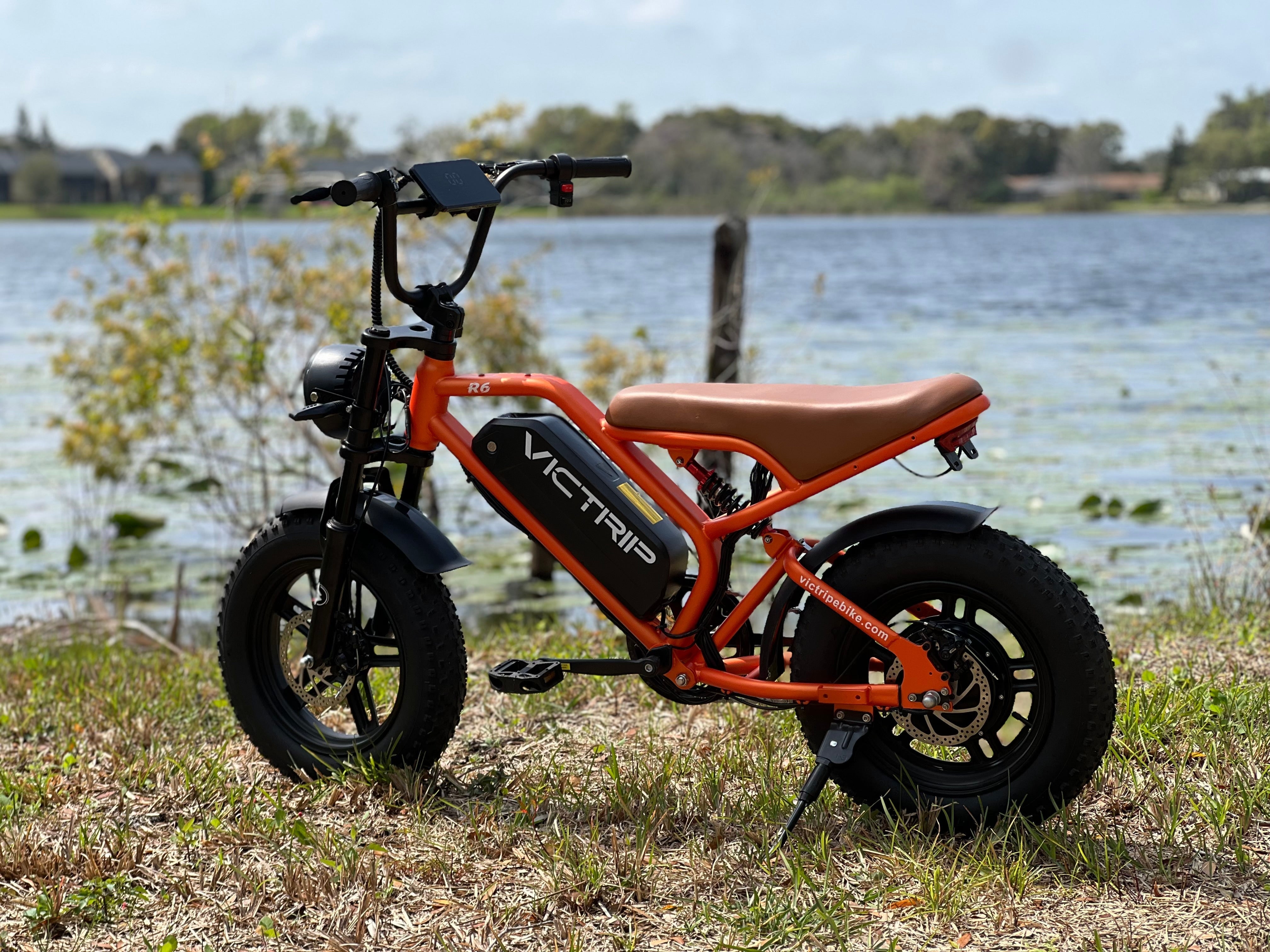 Best Off Road Electric Bike | VICTRIP