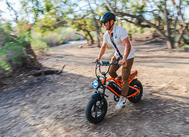 Electric Fat Tire Mountain Bike | VICTRIP