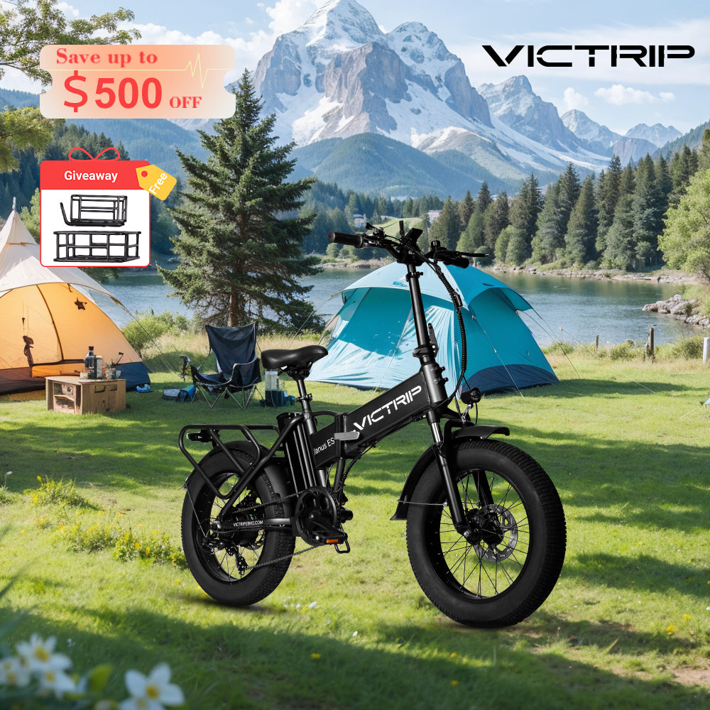 48v Electric Bicycle Battery | VICTRIP