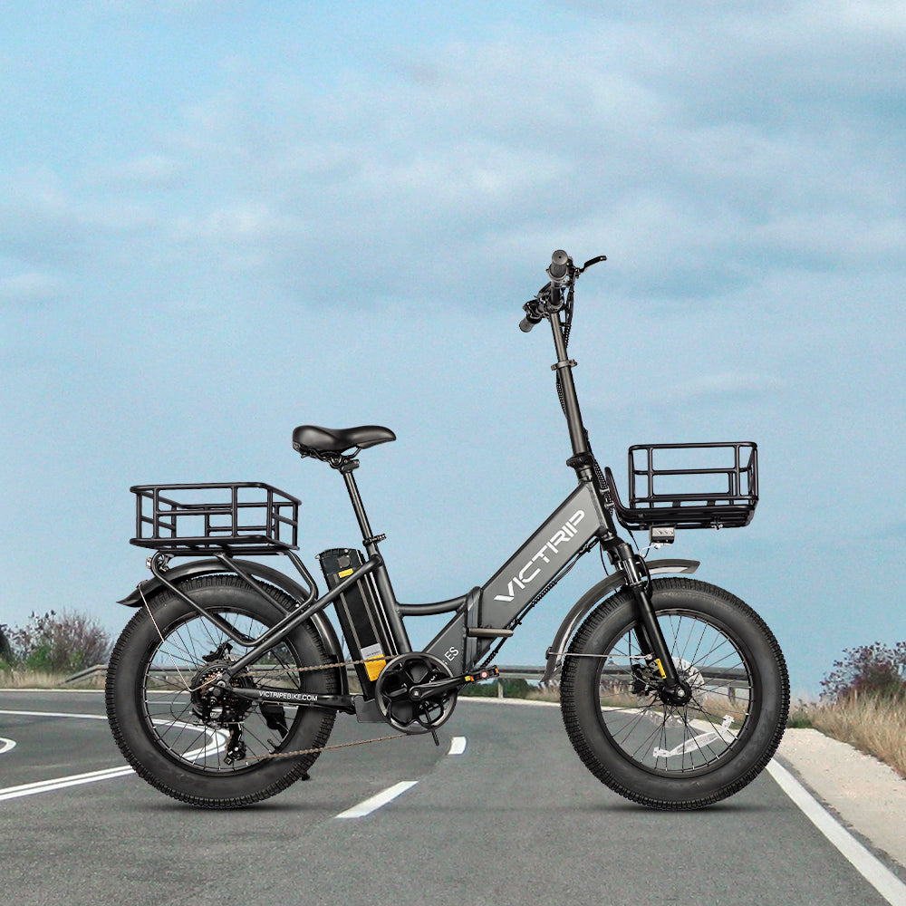 Dual Battery Ebike 750W Foldable Electric Bike Adults | VICTRIP