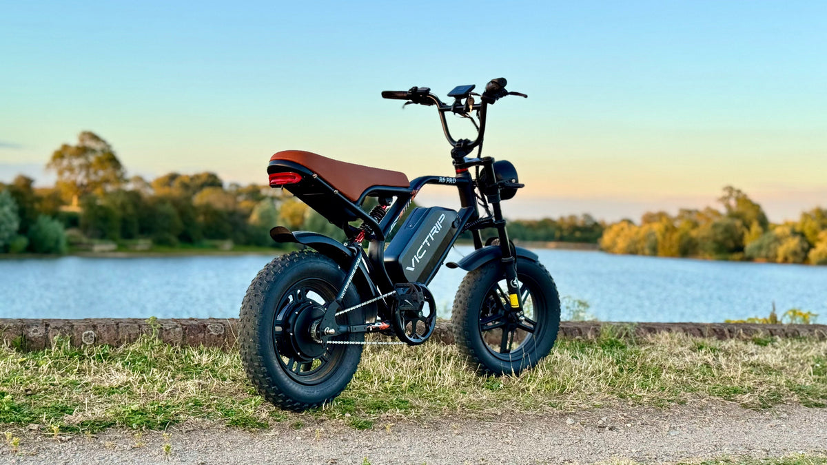 Electric Moped Bicycle | VICTRIP