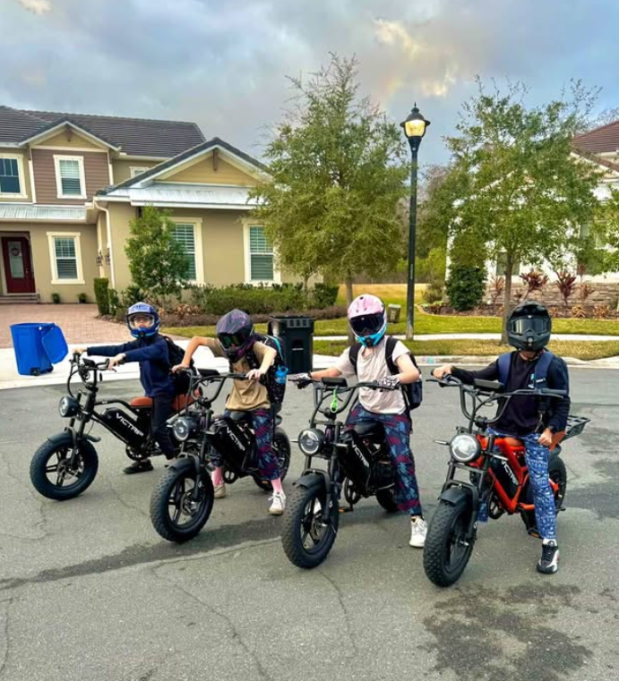 Ebikes That Look Like Motorcycles | VICTRIP
