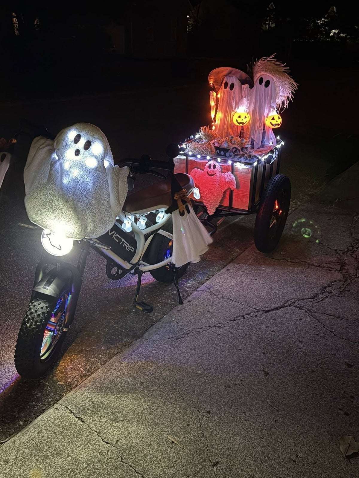 Electric All Terrain Bike | VICTRIP