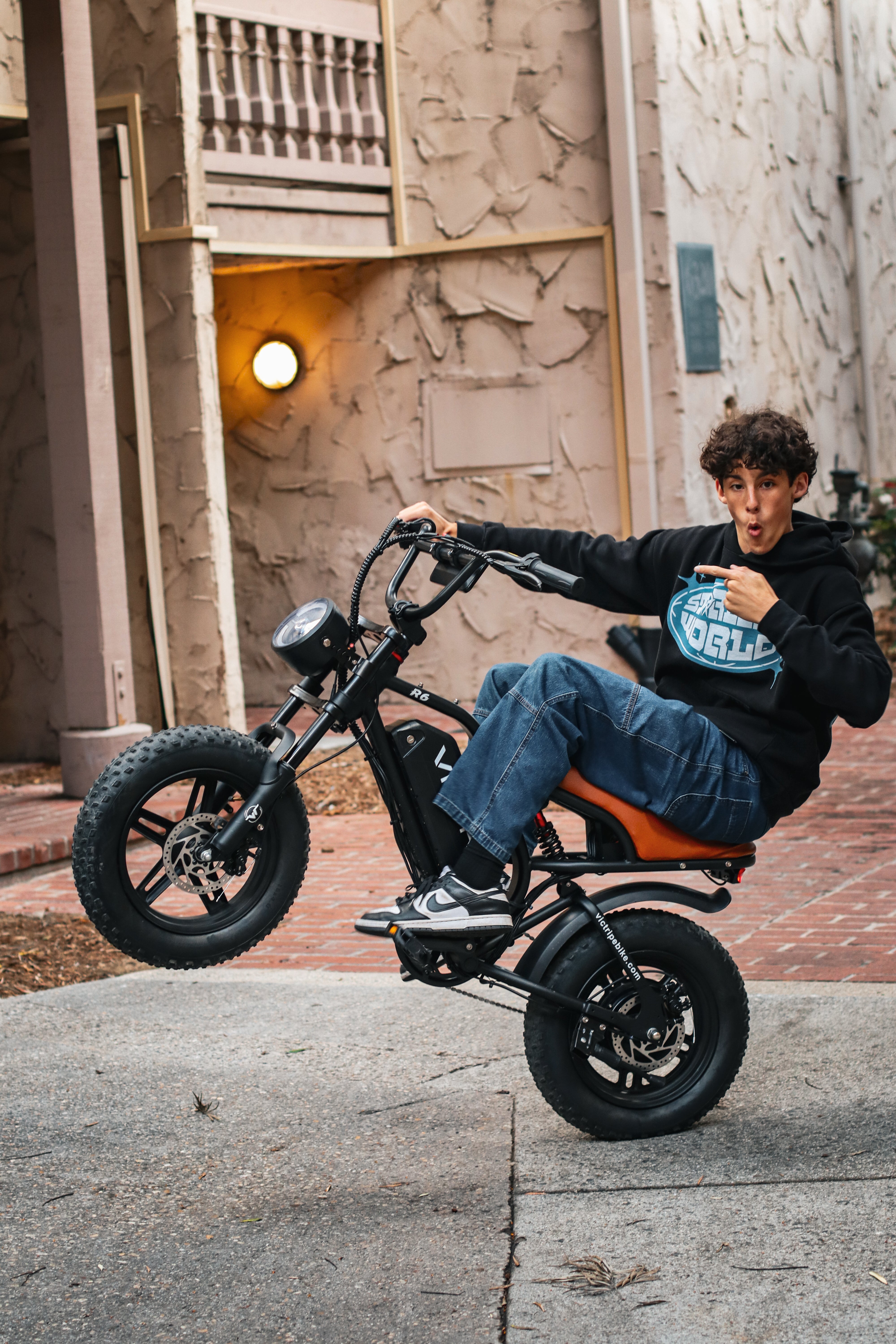 Hybrid Electric Bicycle Moped | VICTRIP