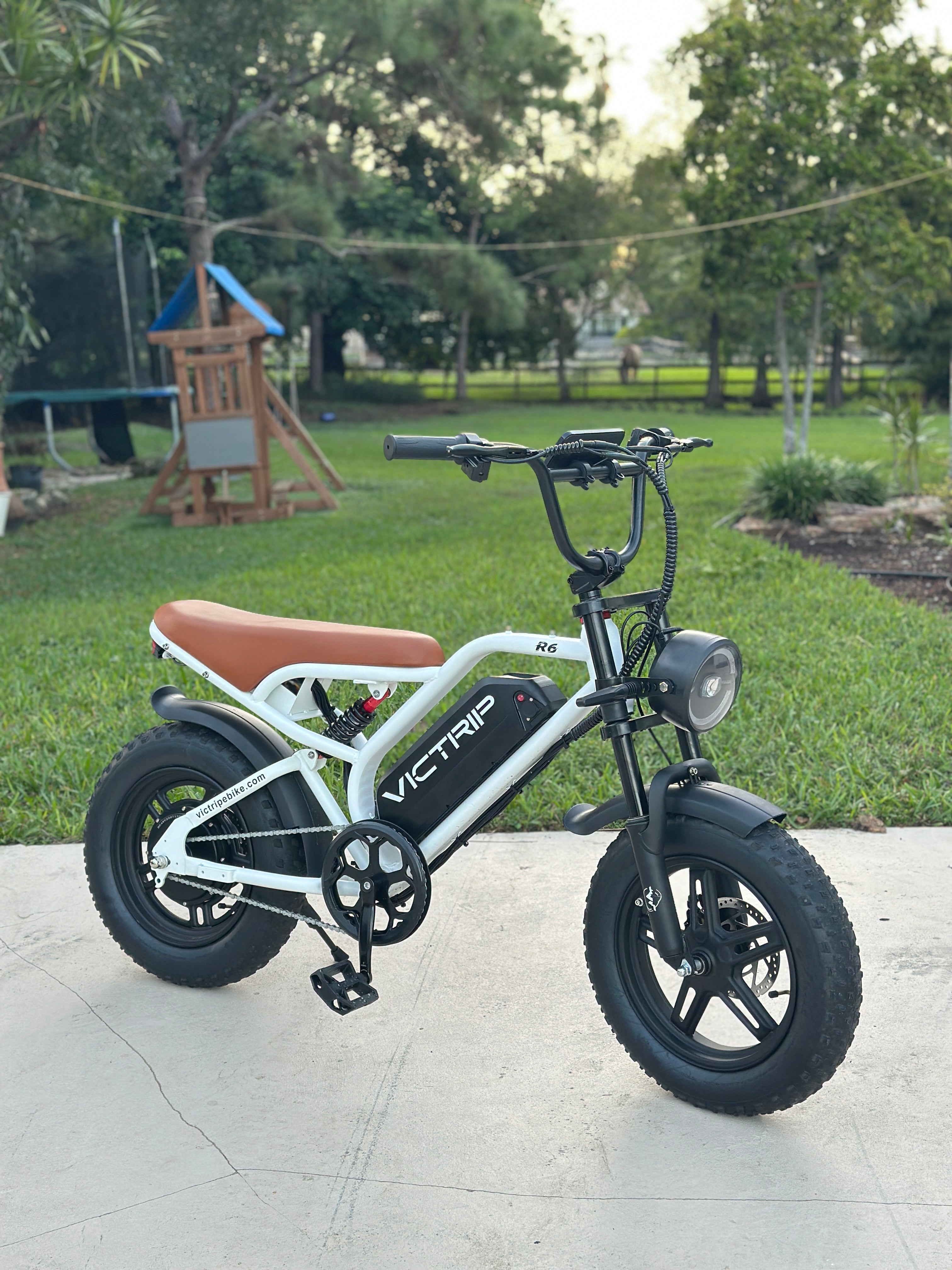 Cheap Electric Bike Fat Tire | VICTRIP