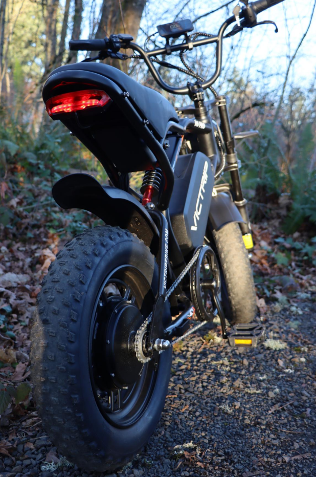 Electric Fat Tire Bike | VICTRIP