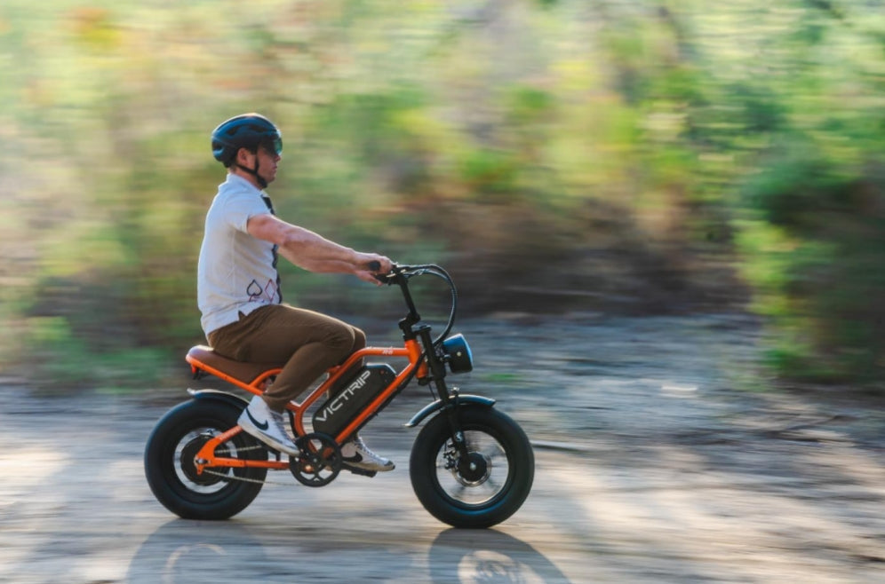 Electric Bike Mountain Electric Bike | VICTRIP