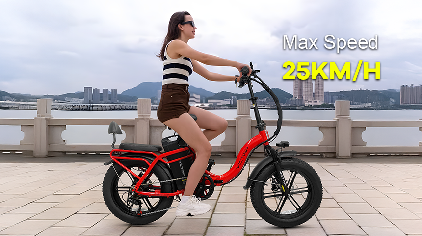 Electric Bikes For Two Adults | VICTRIP