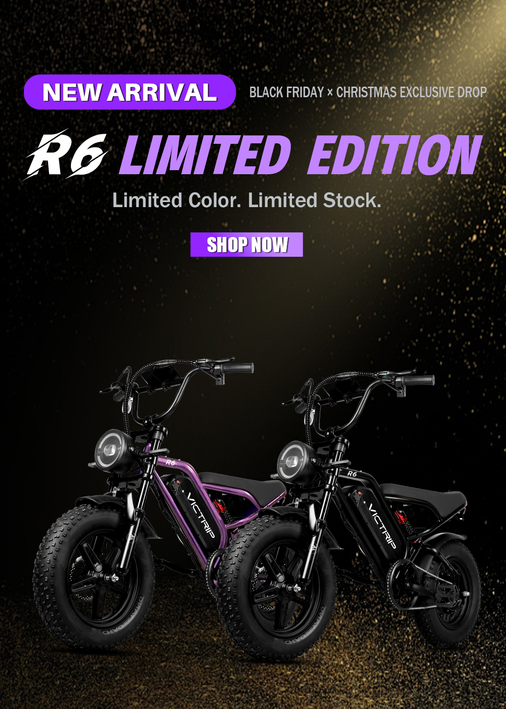 Electric Moped Bicycle 1000W | VICTRIP