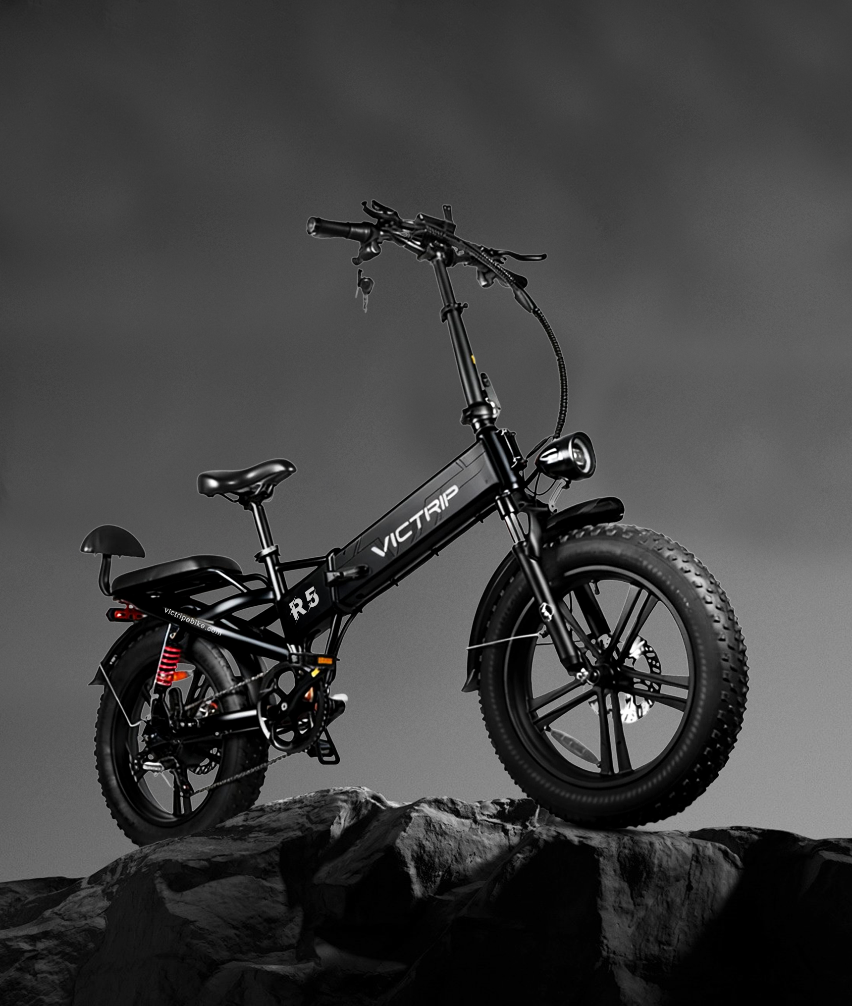 E Bike Folding Electric Bike | VICTRIP