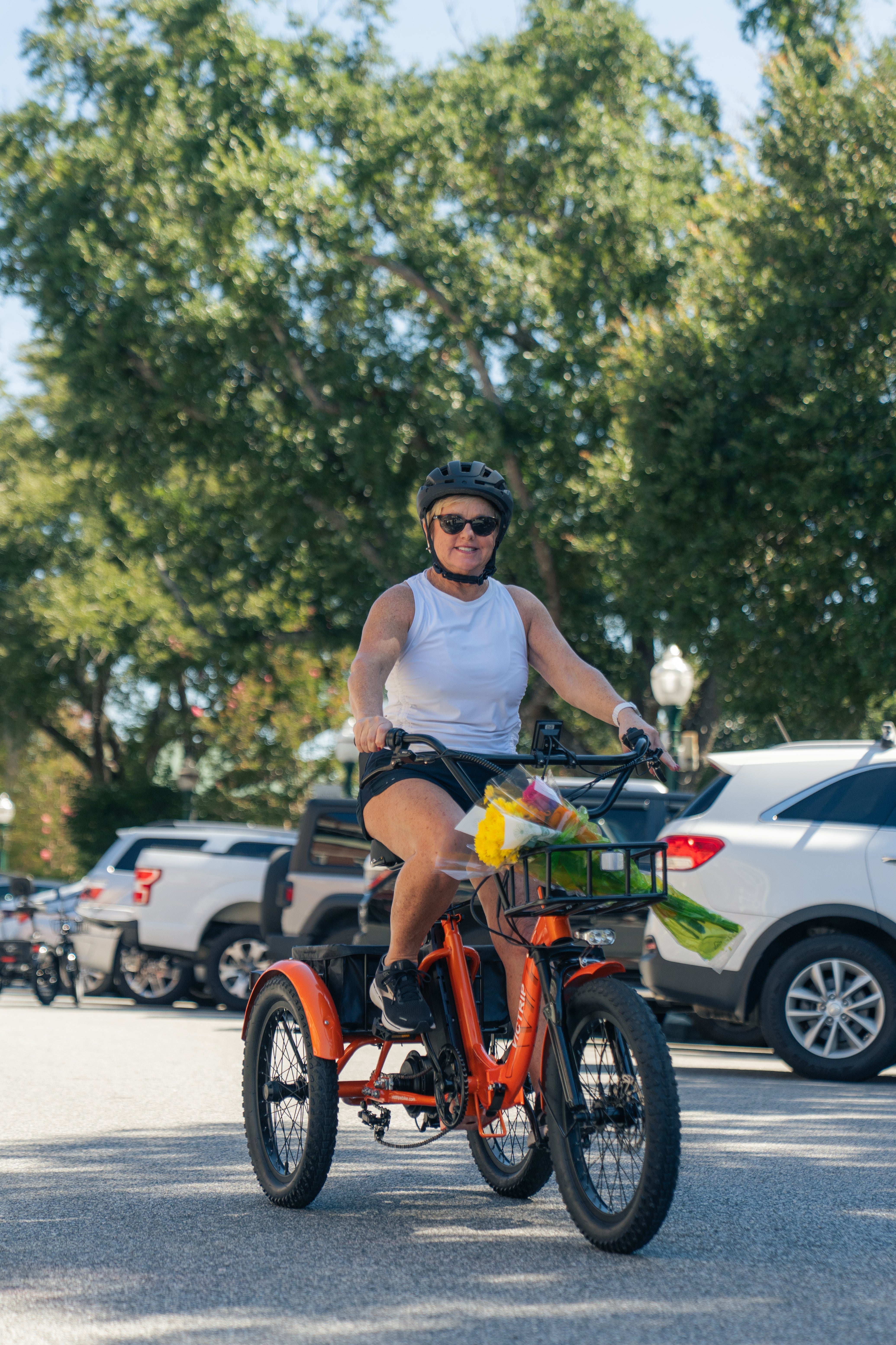 Electric Three Wheel Bike | VICTRIP