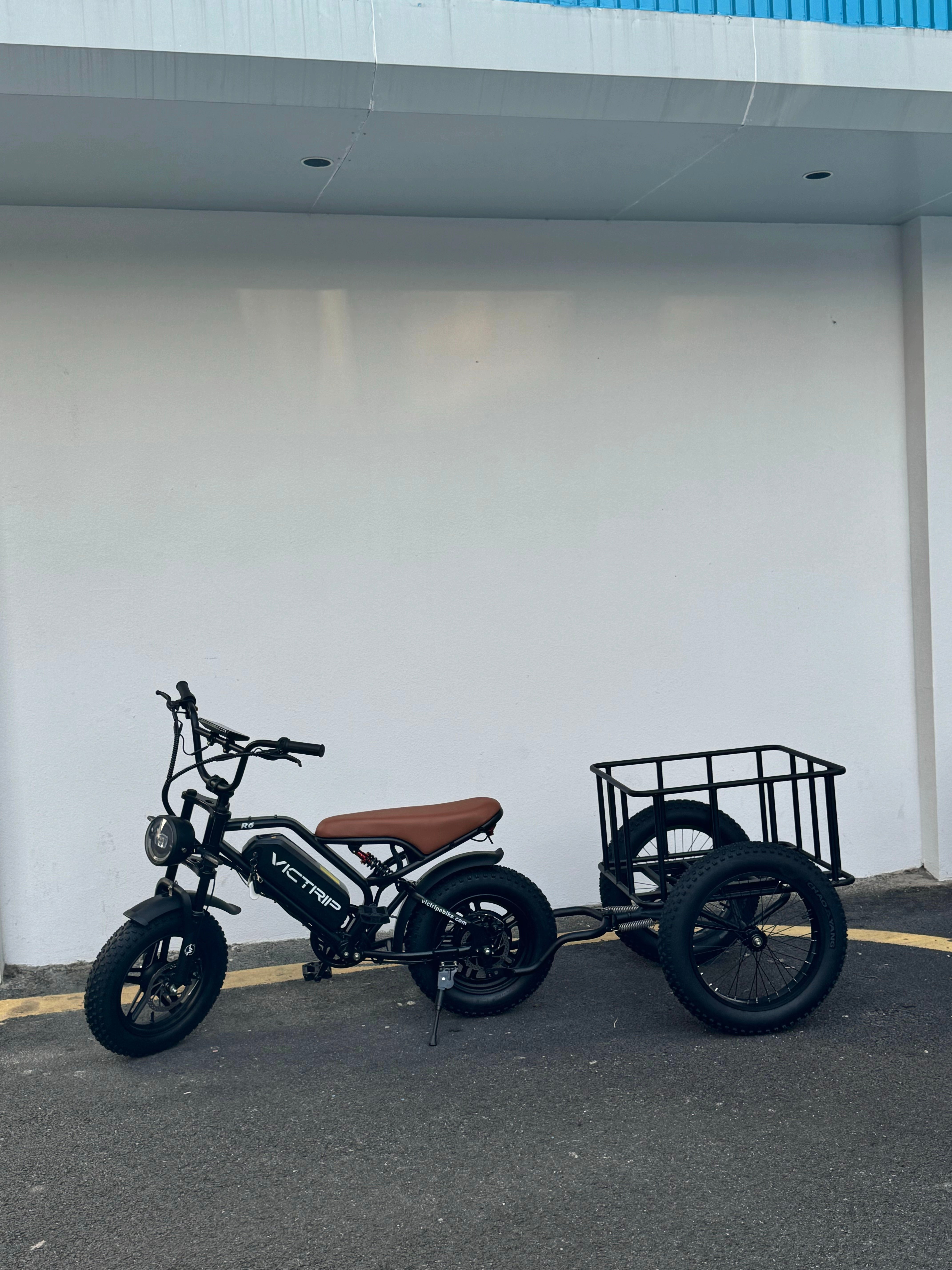 Electric Bike Trailers | VICTRIP
