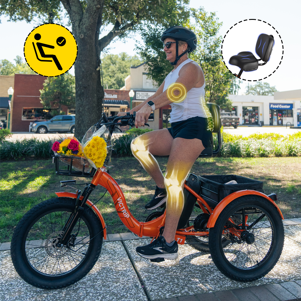 Electric Trike For Seniors | VICTRIP