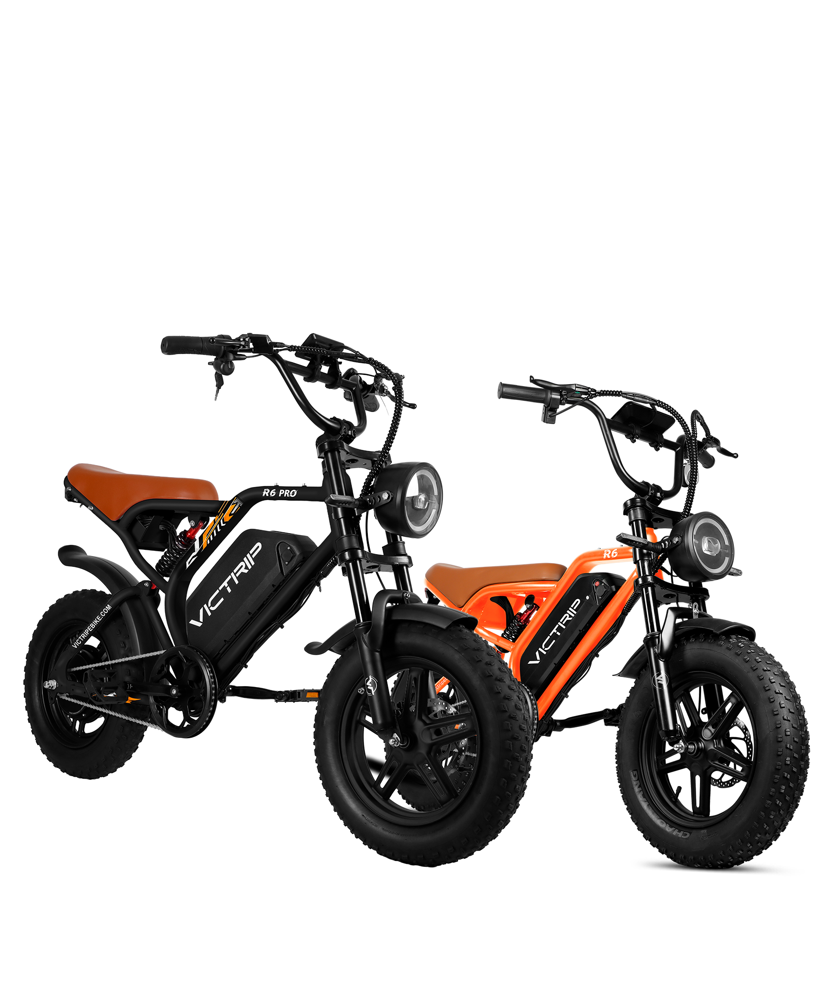 1500W Electric Bike Moped | VICTRIP