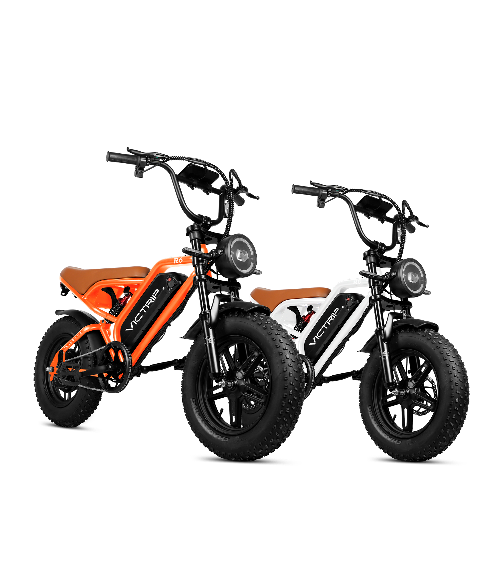 Fat Tire Electric Bike For 2 | VICTRIP