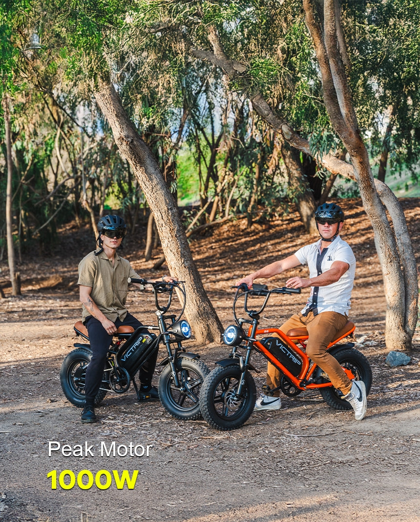 Cheap Fat Tire Electric Bike | VICTRIP