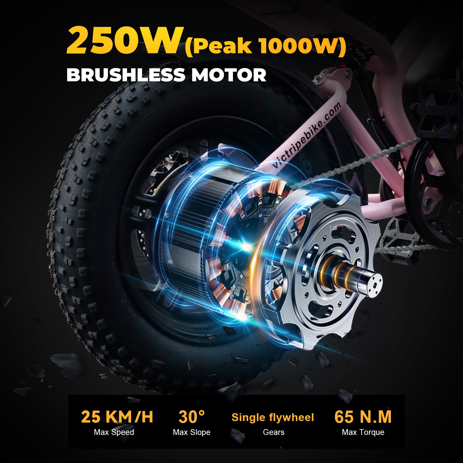 250W Electric Bike Motor | VICTRIP