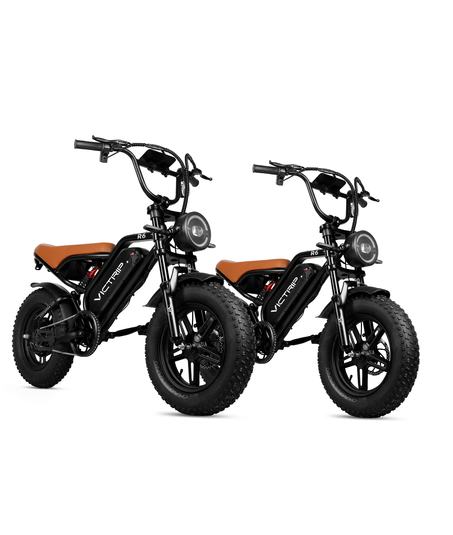 Full Sus Electric Bike For Two | VICTRIP