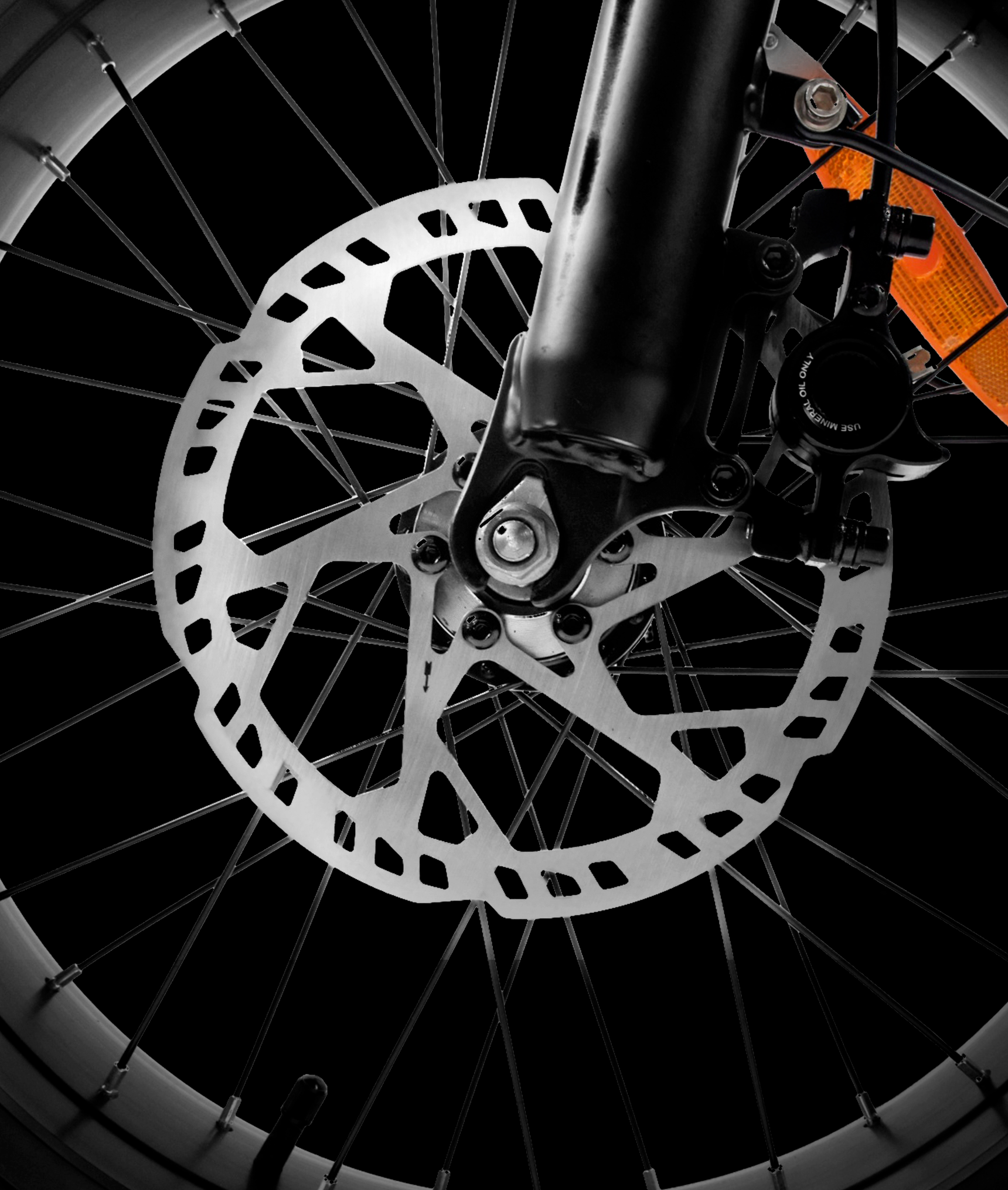 VICTRIP® TITAN S Foldable Ebike