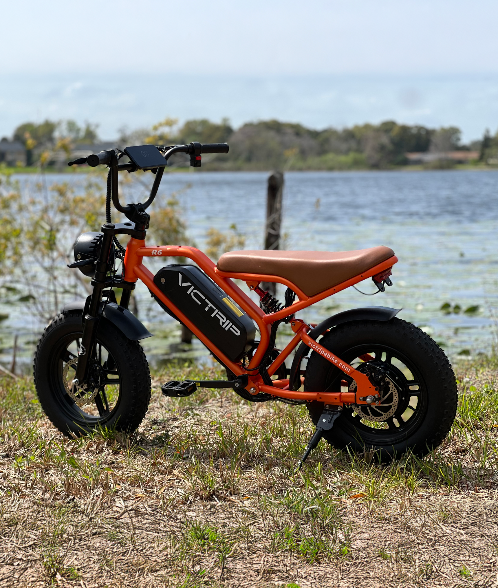 Best Electric Mountain Bike | VICTRIP