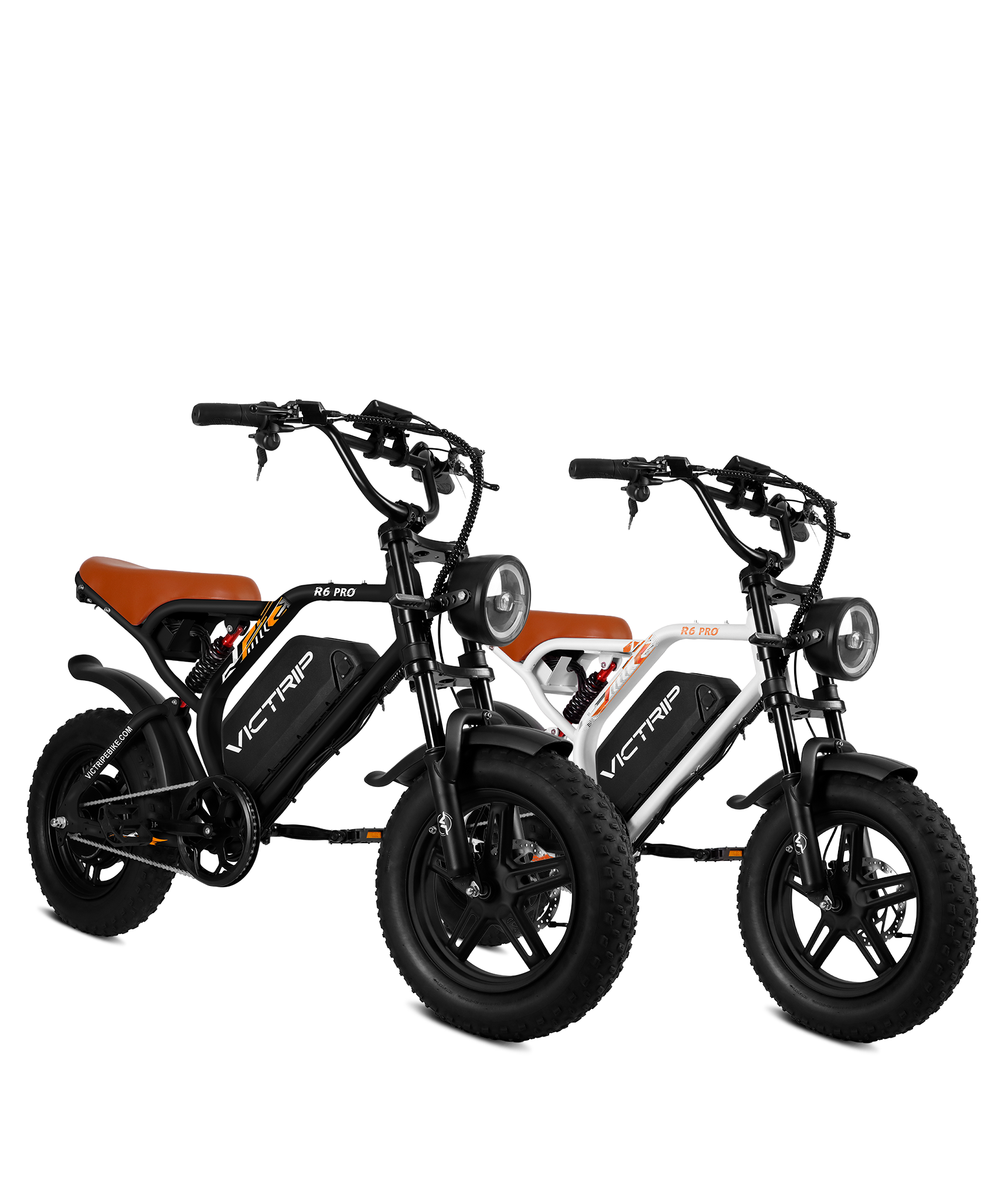 Small Electric Bike 250W | VICTRIP