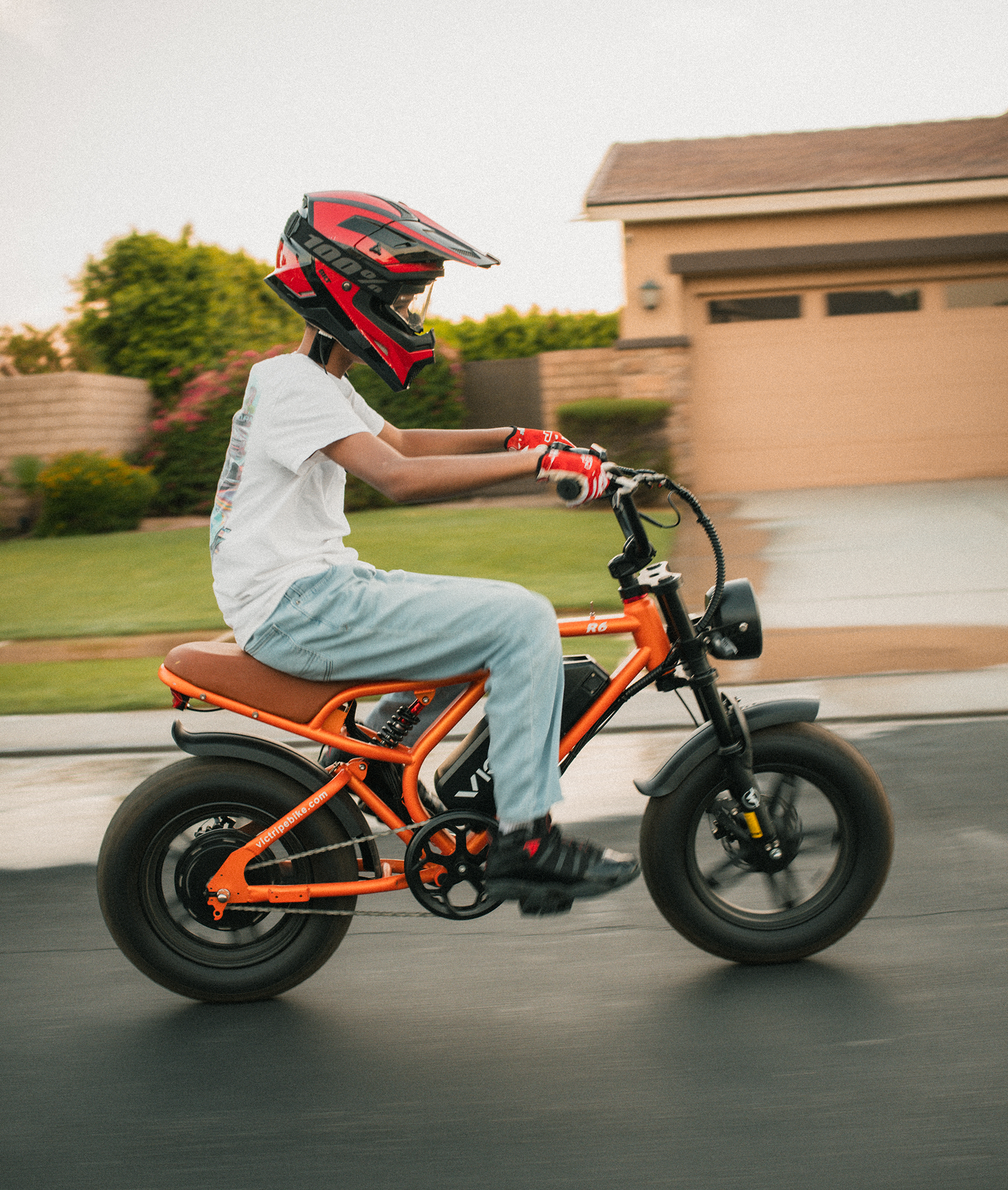 VICTRIP®R6 Off Road Ebike