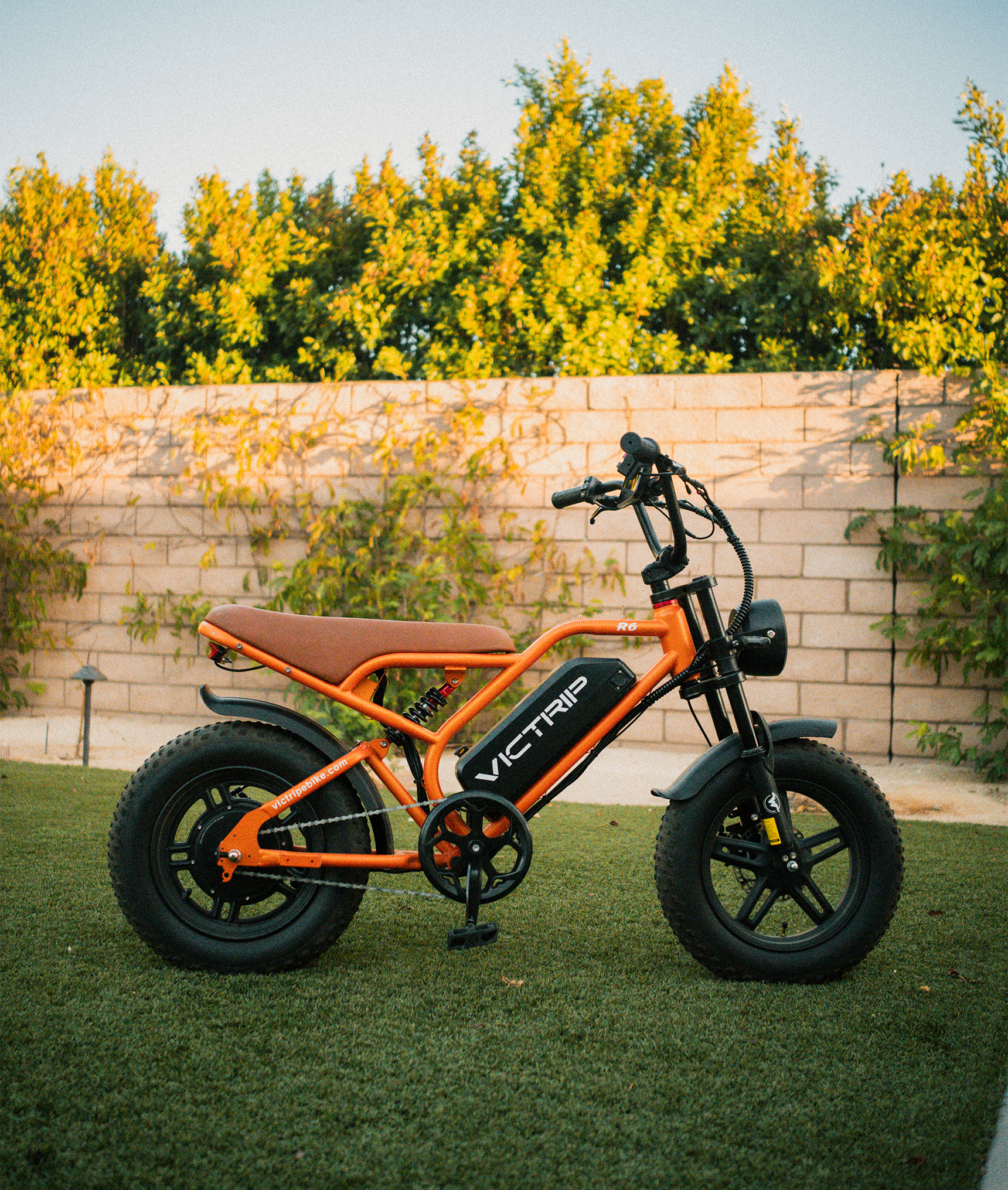 VICTRIP®R6 Off Road Ebike