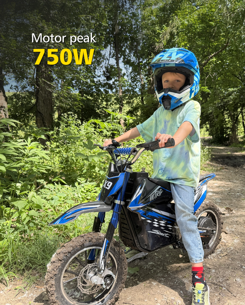 Youth Dirt Bikes 750W | VICTRIP