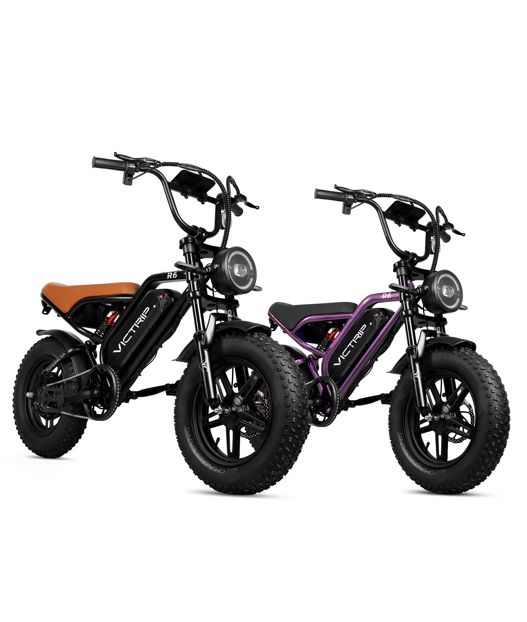 Electric Moped Cycle 1000W | VICTRIP