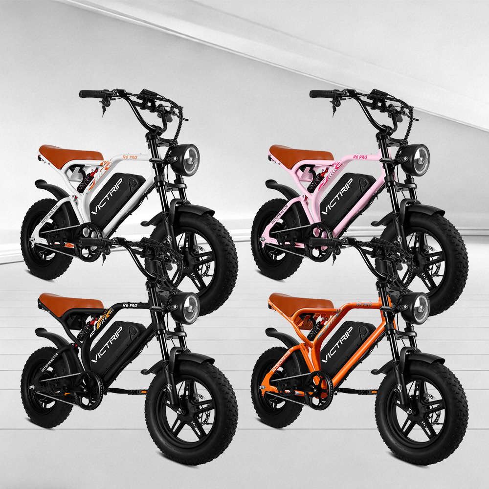 Electric bike OEM partnership |Victrip