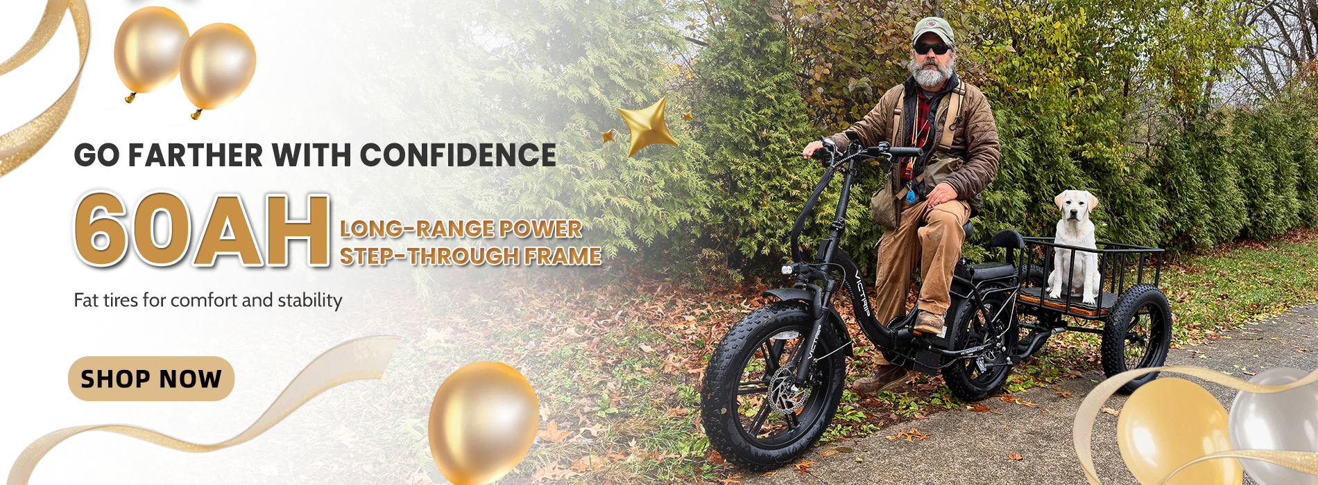 Affordable Electric Bike | VICTRIP