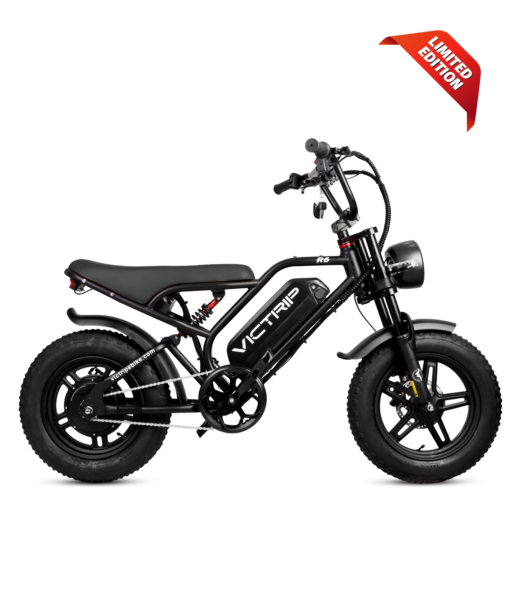 Electric Bikes That Look Like Motorcycles | VICTRIP