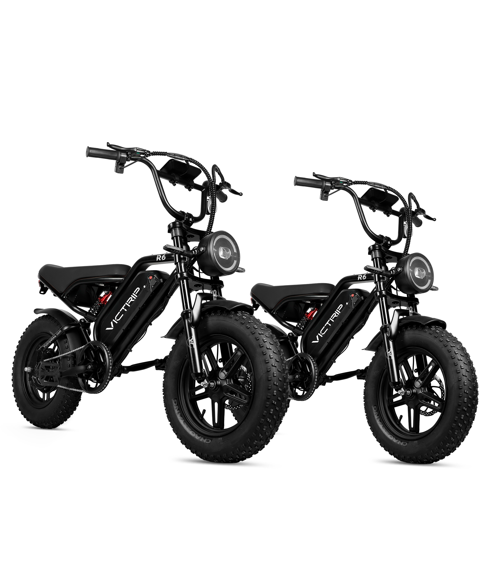 Long Range Electric Bike Combo | VICTRIP