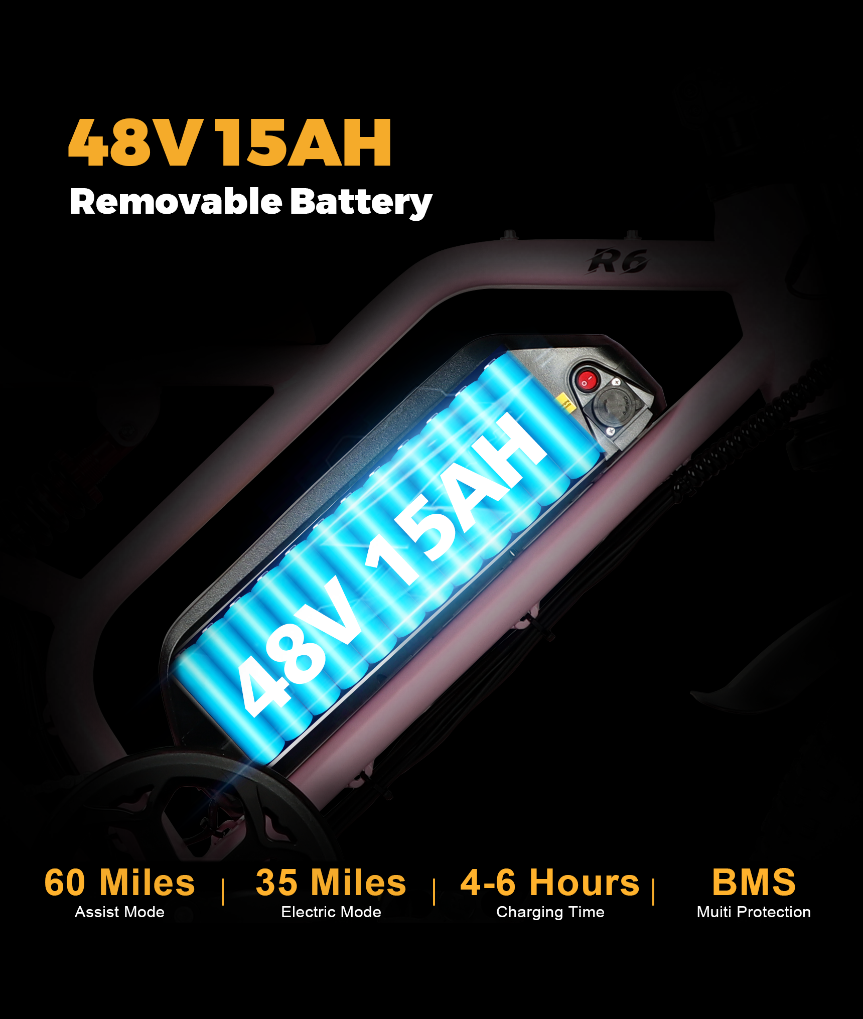 VICTRIP®R6 Off Road Ebike