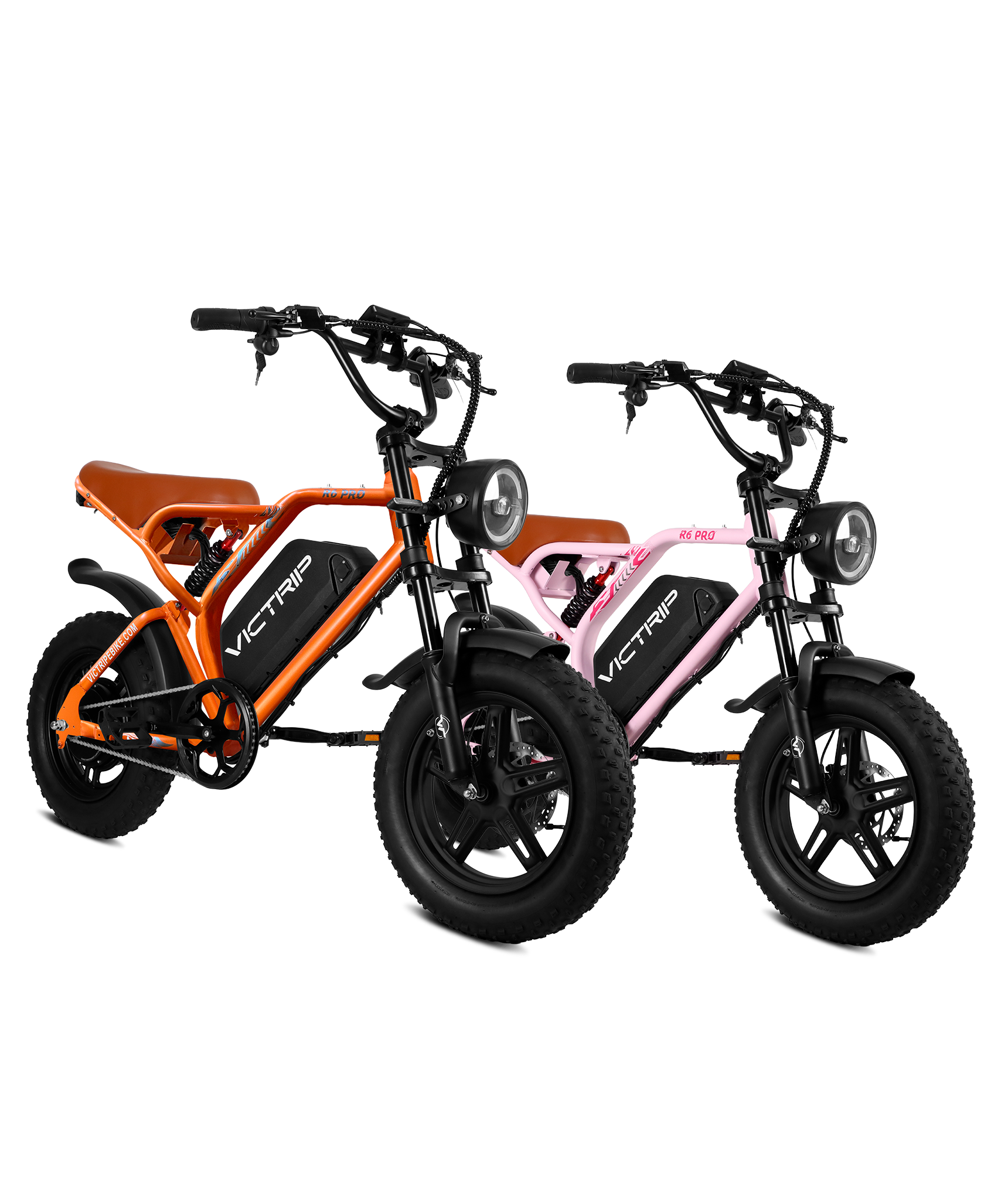 Affordable Electric Bike Two | VICTRIP