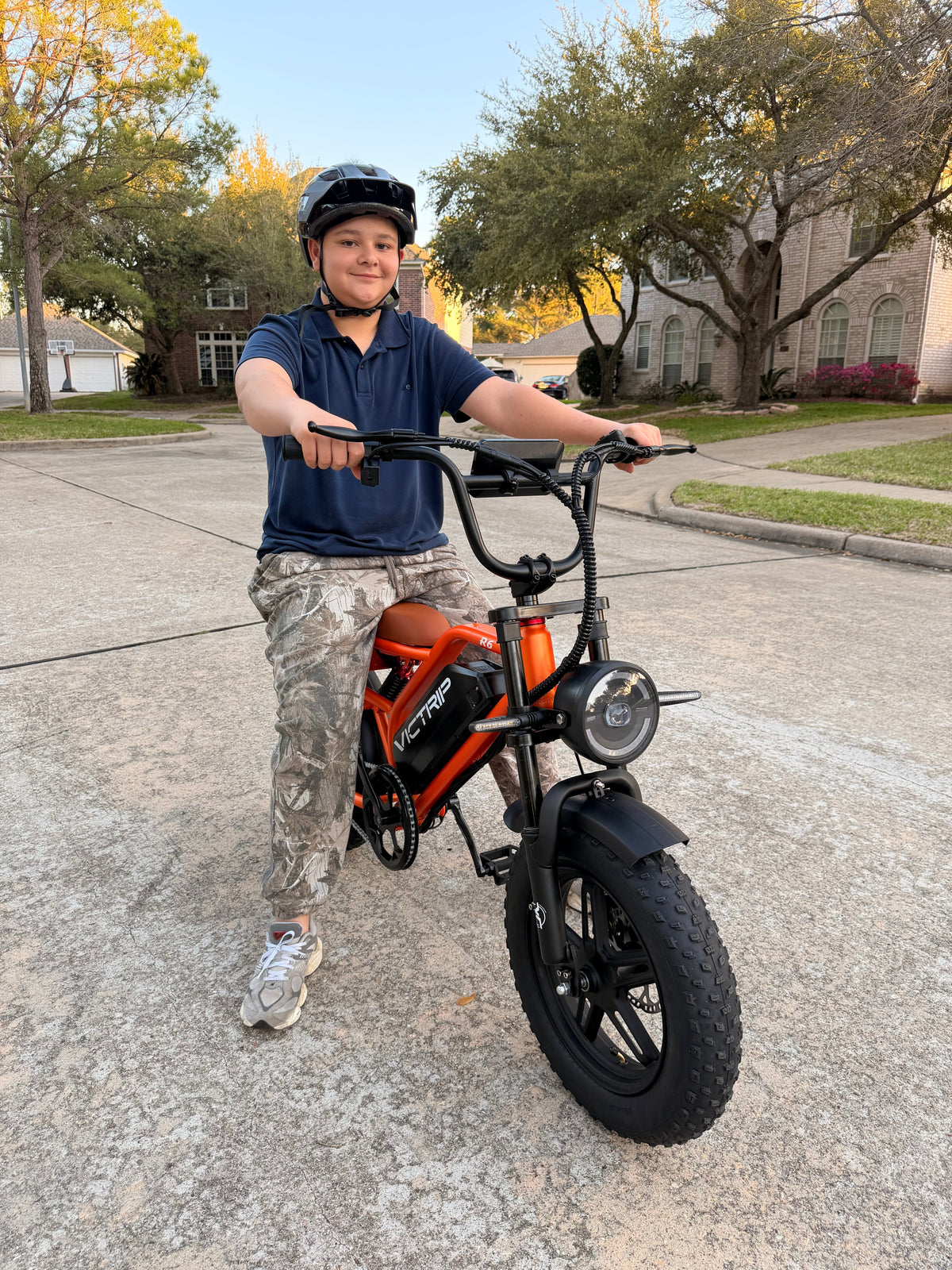 Small Electric Bicycle 250W | VICTRIP