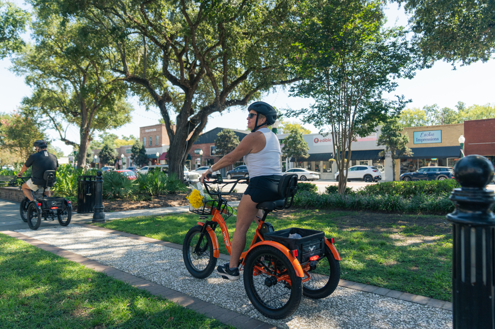 Electric Bicycle Tricycle | VICTRIP