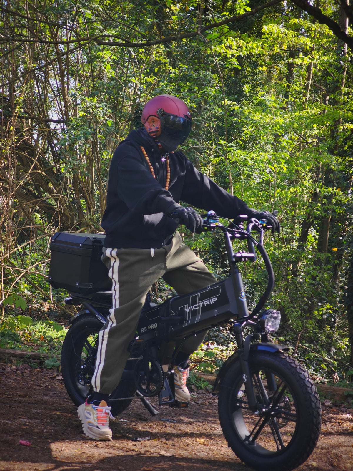 Cheap Electric Bikes For Adults | VICTRIP