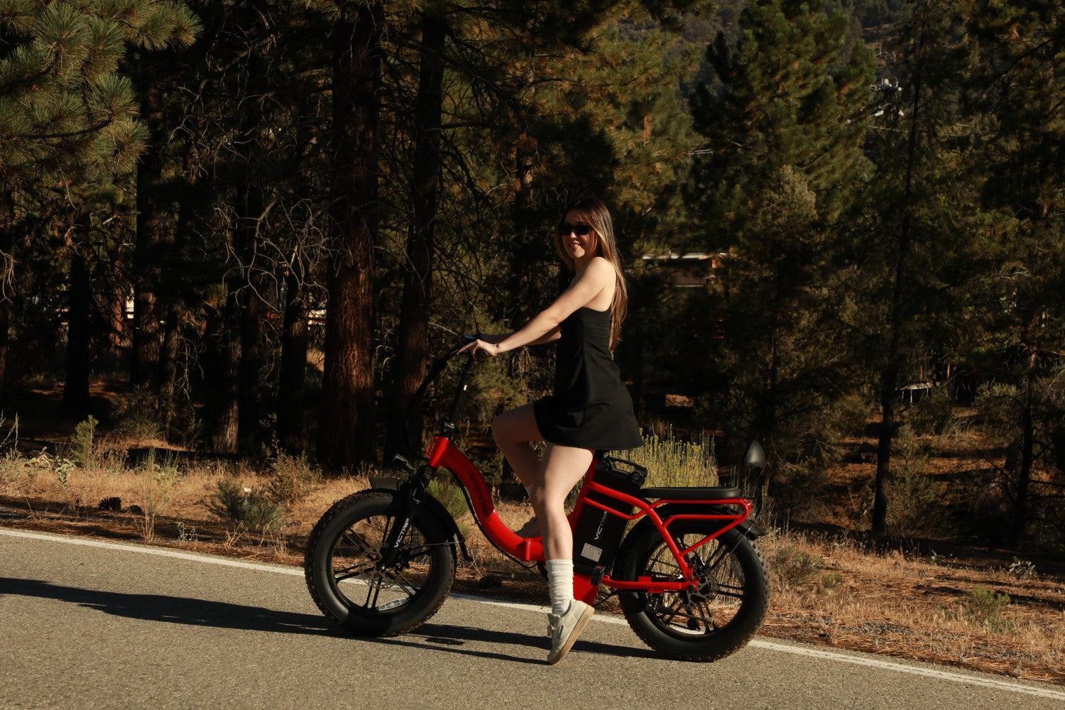 Lightweight Ebike​ | VICTRIP