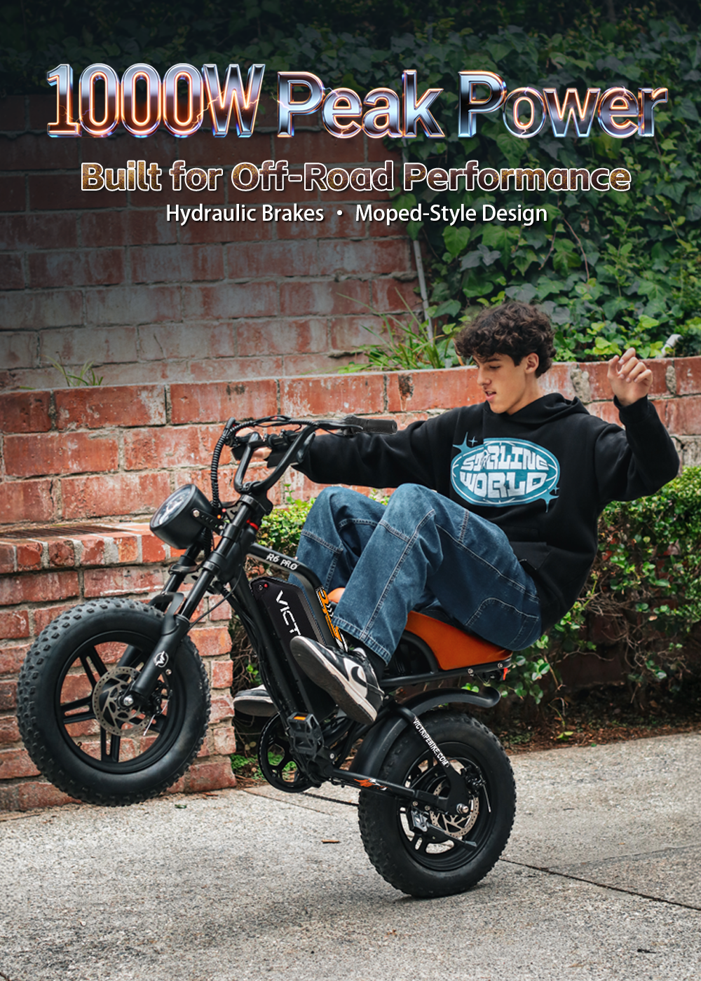 Best Electric Bikes​ 1000W | VICTRIP