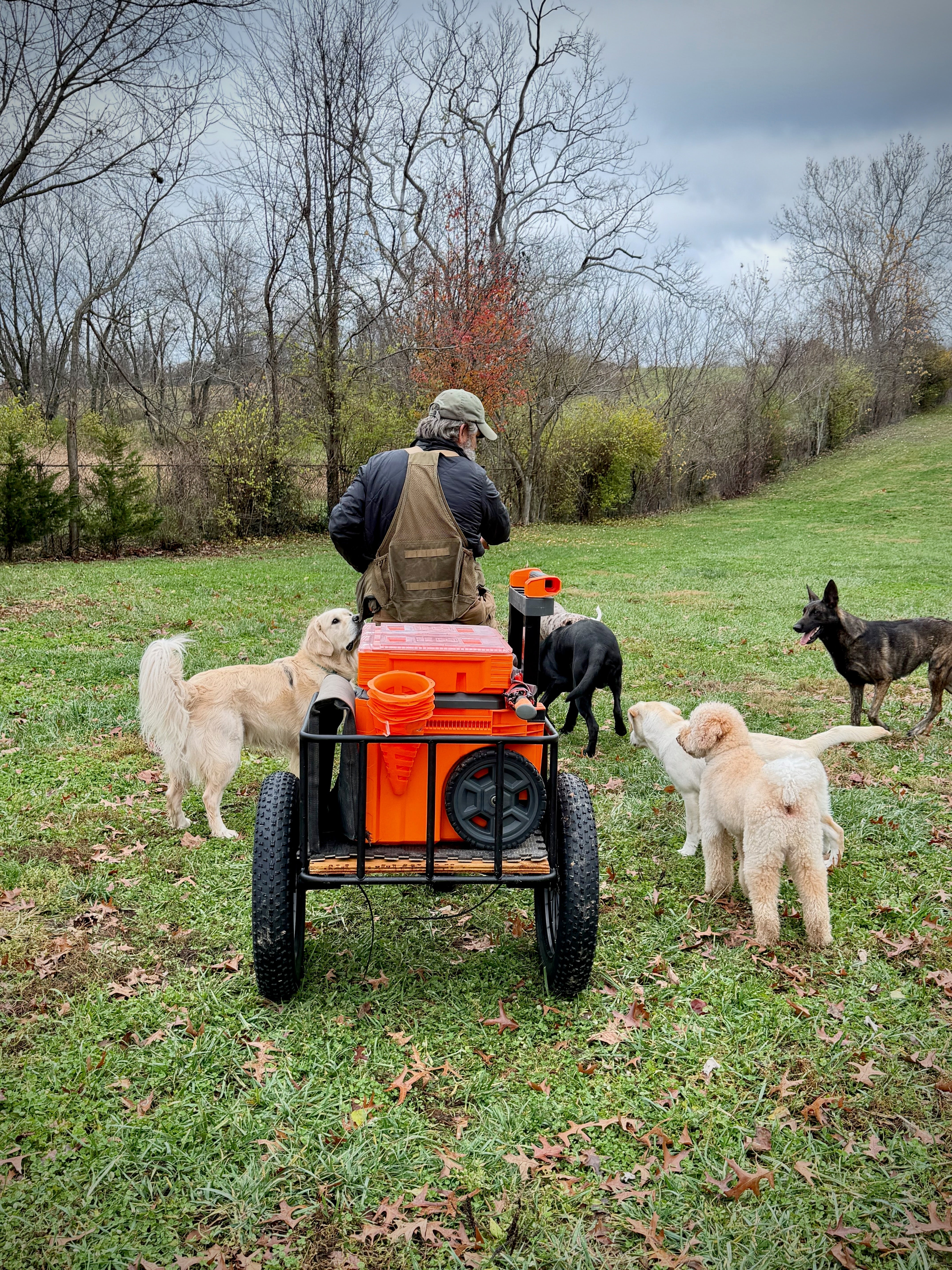Electric Bike With Trailer​ | VICTRIP
