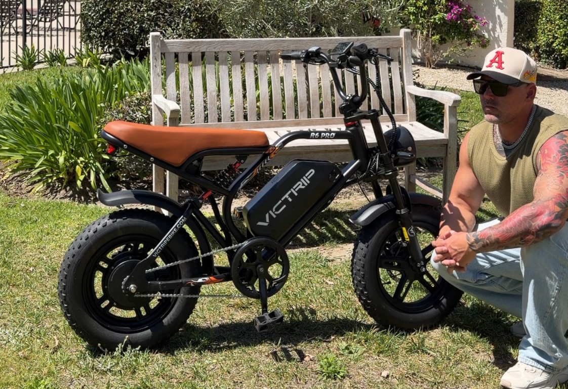 Mountain E Bicycle​ | VICTRIP