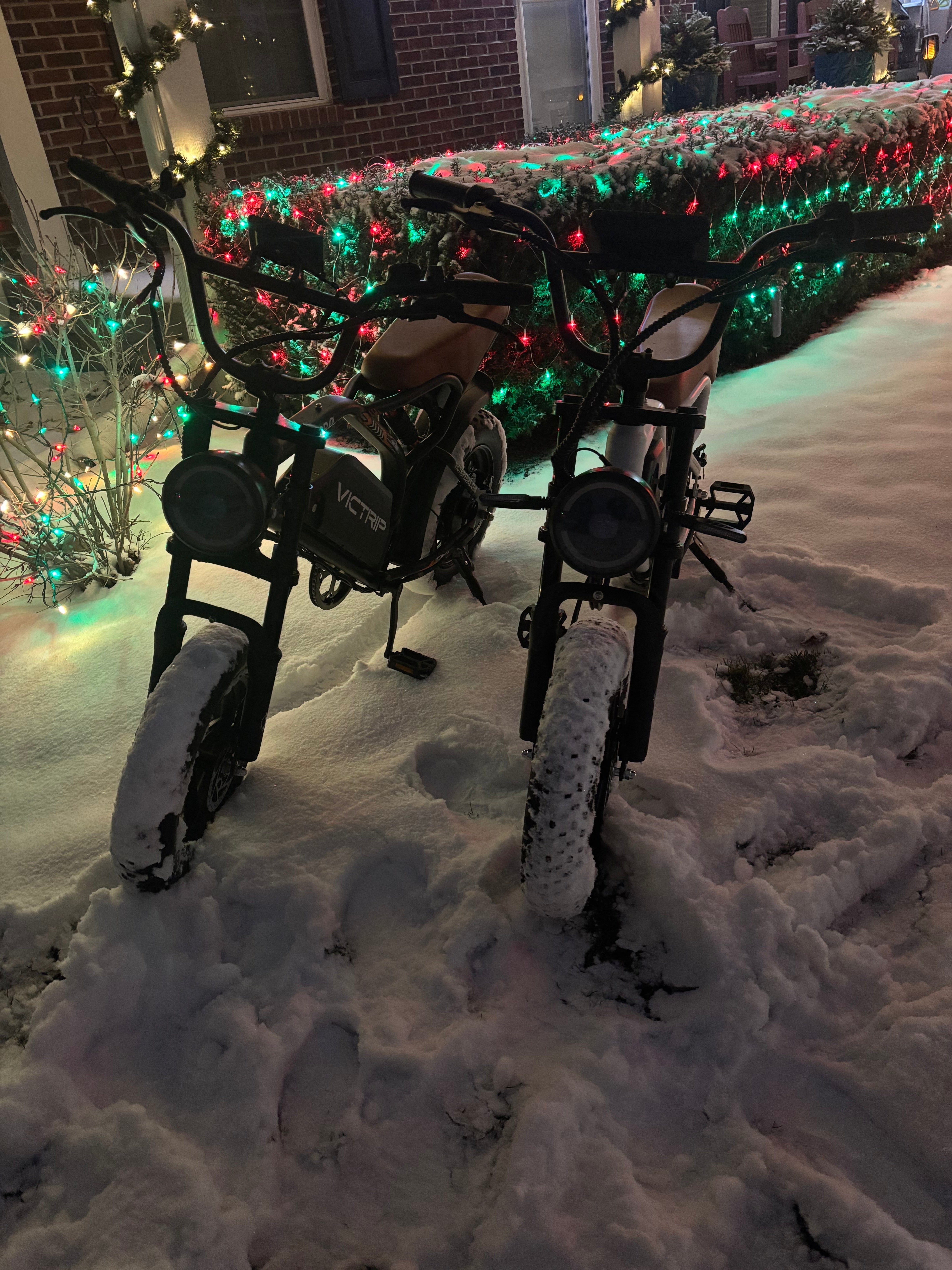 Best Electric Moped​ | VICTRIP