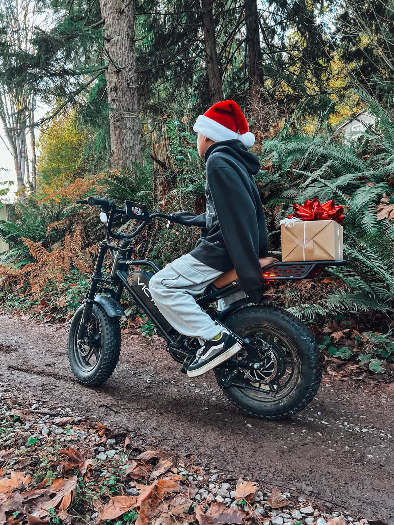 Fastest Electric Moped​ | VICTRIP