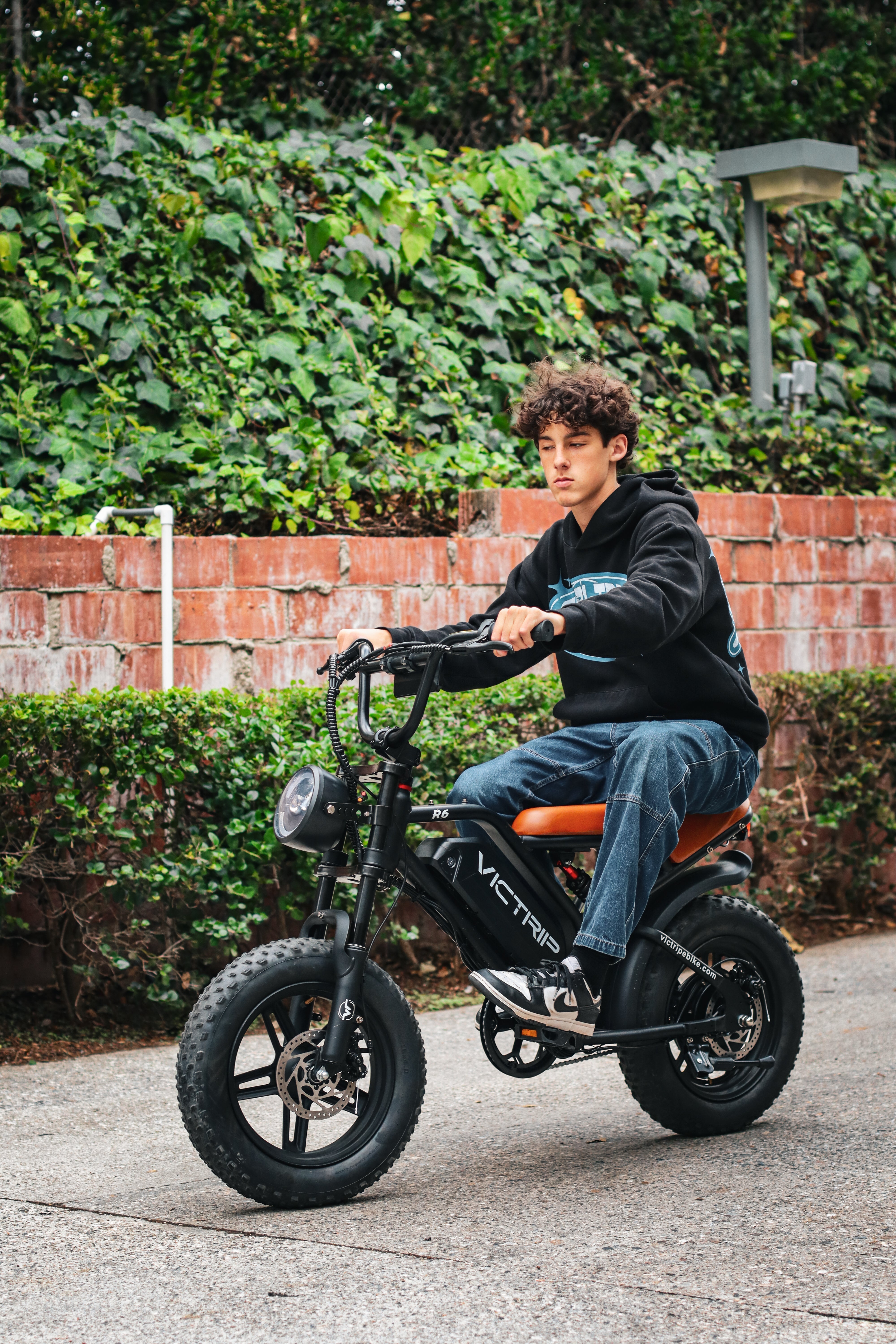 Best 1500 Watt Ebike​ | VICTRIP