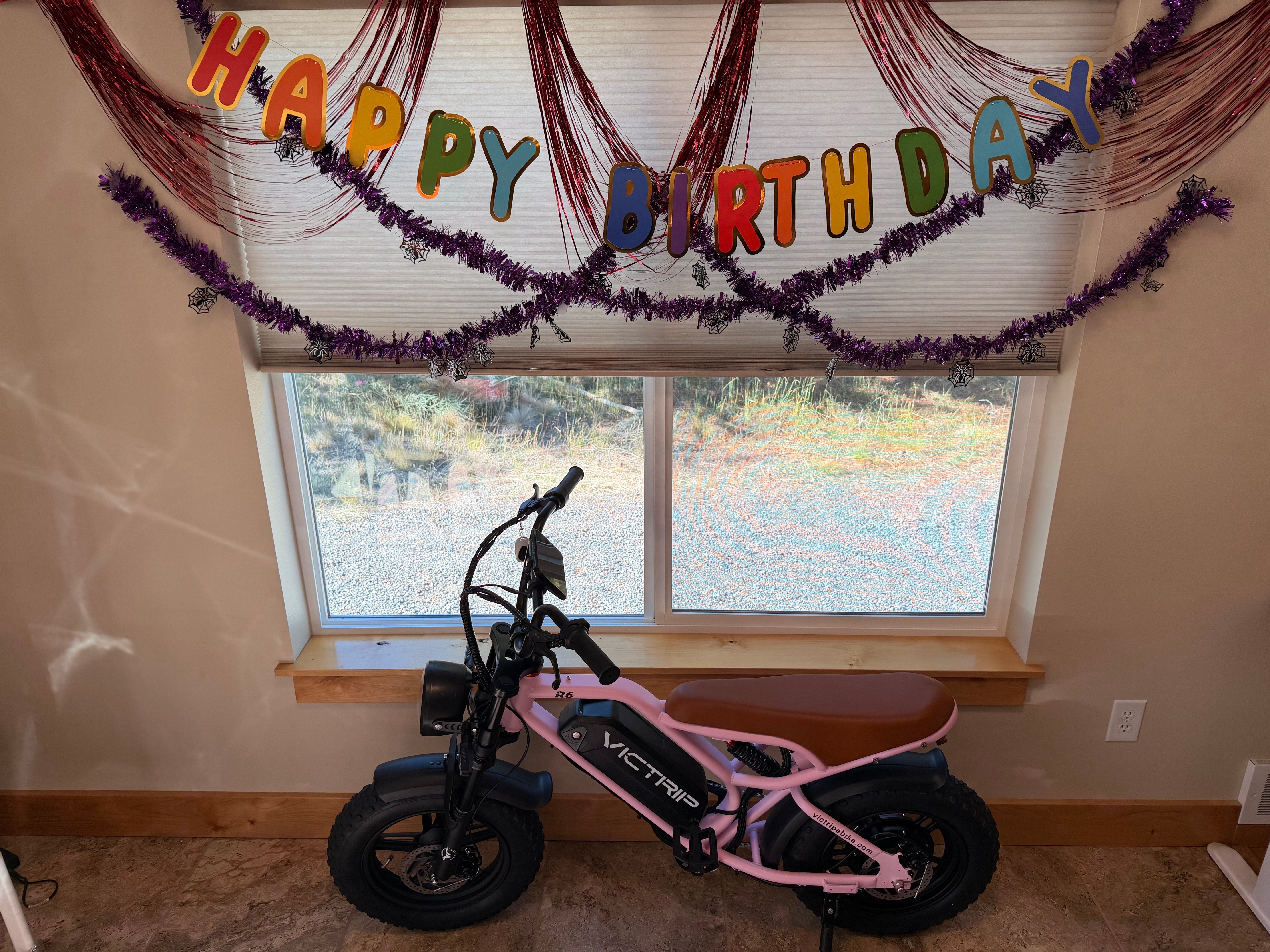 Pink Ebike For Teens​ | VICTRIP